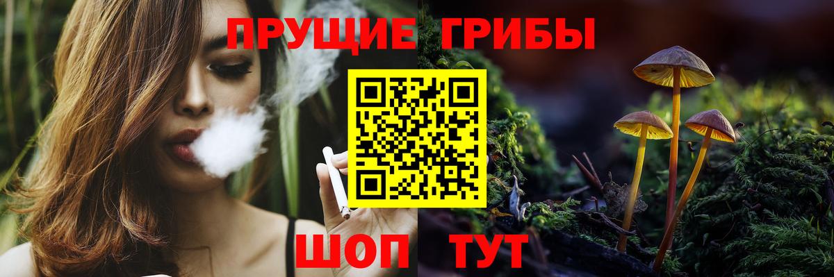 Псилоцибиновые грибы Psilocybe Урай